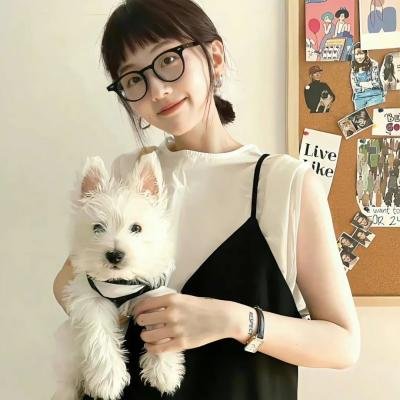 八面玲珑的申小姐